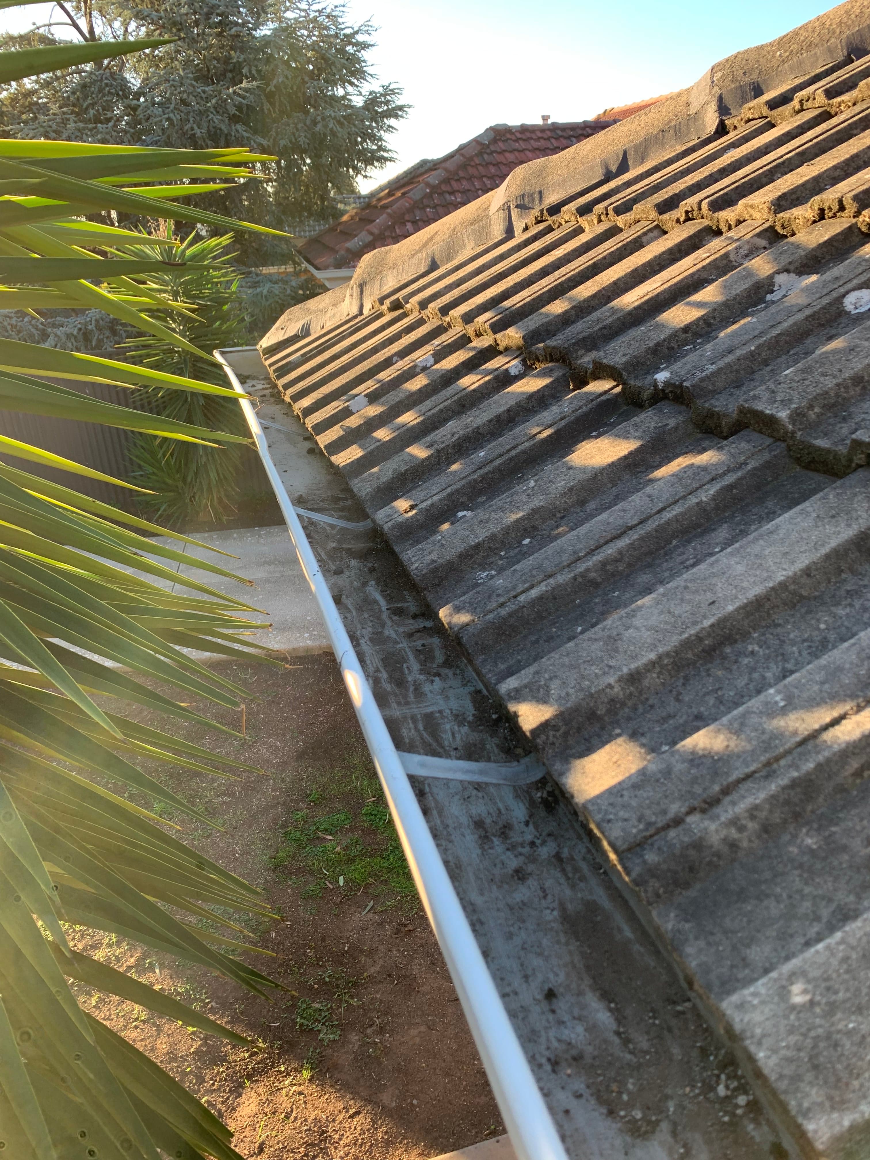 Roof cleaning in progress