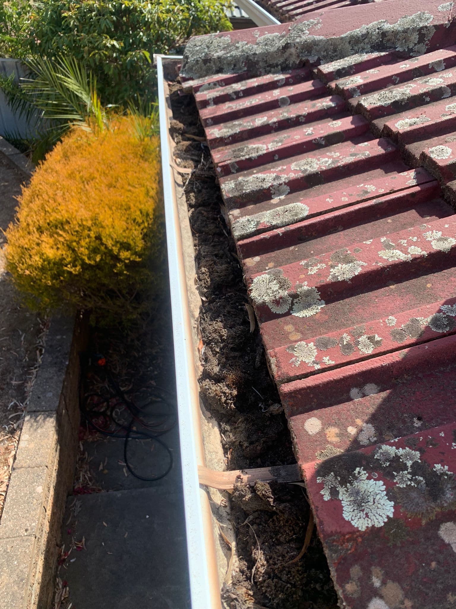 Roof edge clean-up before